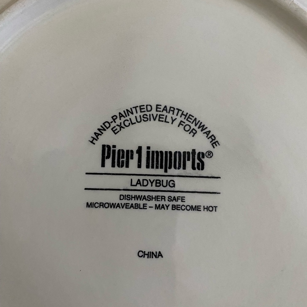 Pier 1 Imports Ladybug Earthenware Plate - Picture 3 of 5